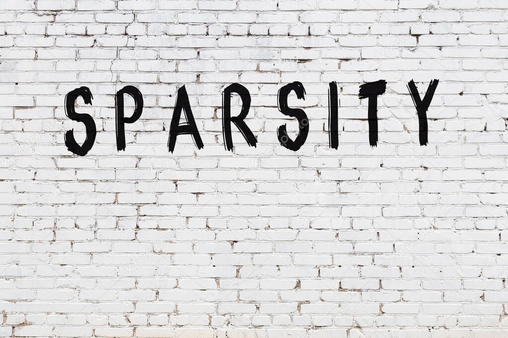 White brick wall with inscription sparsity handwritten with black paint