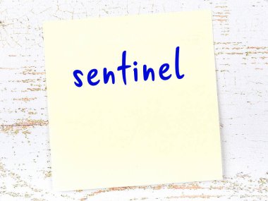 Tahta duvardaki sarı yapışkan notta el yazısıyla yazılmış gözcü yazısı var.