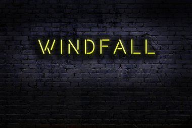 Geceleri duvarda neon levhası var. Yazı talih kuşu.