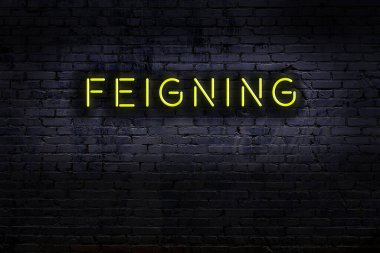 Geceleri duvarda neon levhası var. Yazı uydurma