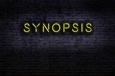 Duvara yazı özeti çizilmiş neon tabela. Gece görünümü