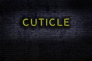 Duvara yazı kazınmış neon levhası. Gece görünümü