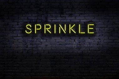 Duvara yazı serpiştirilmiş neon levhası. Gece görünümü