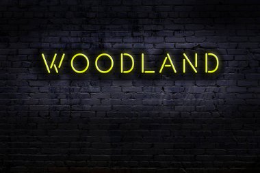 Geceleri duvarda neon levhası var. Yazıt ormanı.