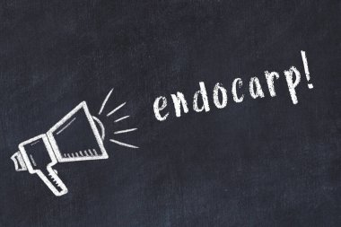 Hoparlör ve yazıt endocarp çizimli siyah karatahta