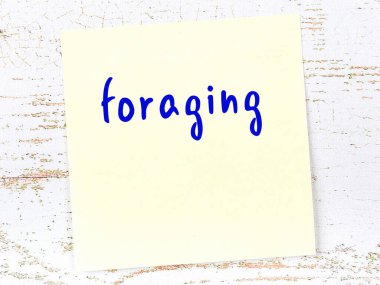 Tahta duvardaki sarı yapışkan notta el yazısıyla yazılmış yiyecek arama yazısı var.