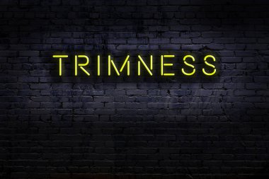 Tuğla duvara yazıtlar çizilmiş neon tabela. Gece görünümü