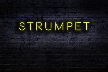 Geceleri duvarda neon levhası var. Yazı orospusu.