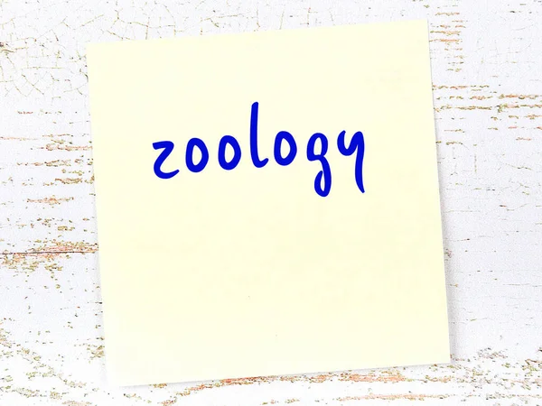 Koncepcja Przypomnienia Zoologii Żółta Lepka Kartka Papieru Drewnianej Ścianie Napisem — Zdjęcie stockowe
