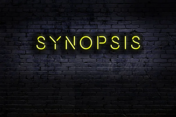 Duvara yazı özeti çizilmiş neon tabela. Gece görünümü
