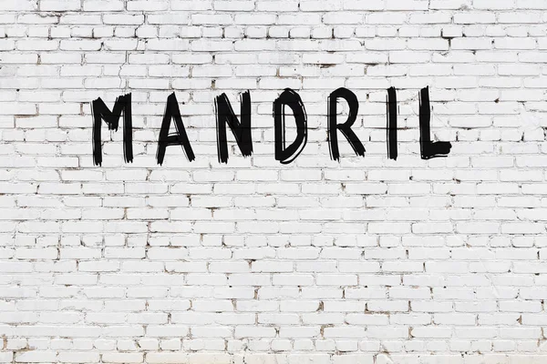 白色砖墙 题词为Mandril 手写黑色油漆 — 图库照片