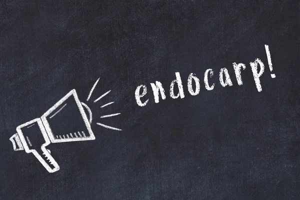 Hoparlör ve yazıt endocarp çizimli siyah karatahta