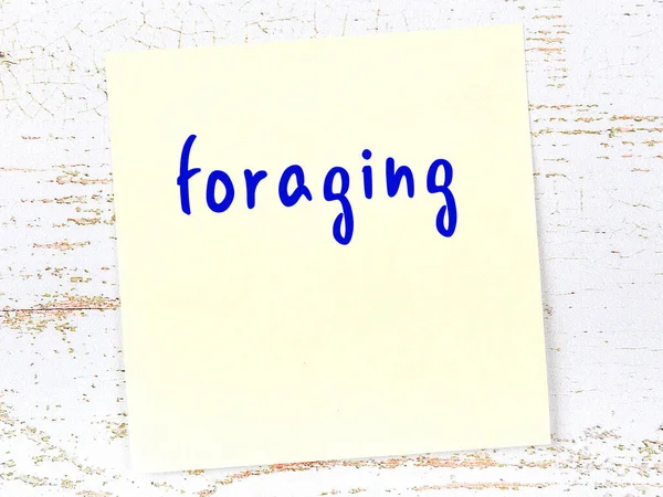 Tahta duvardaki sarı yapışkan notta el yazısıyla yazılmış yiyecek arama yazısı var.