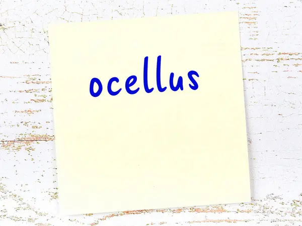Koncepcja Przypomnienia Ocellus Żółta Lepka Kartka Papieru Drewnianej Ścianie Napisem — Zdjęcie stockowe