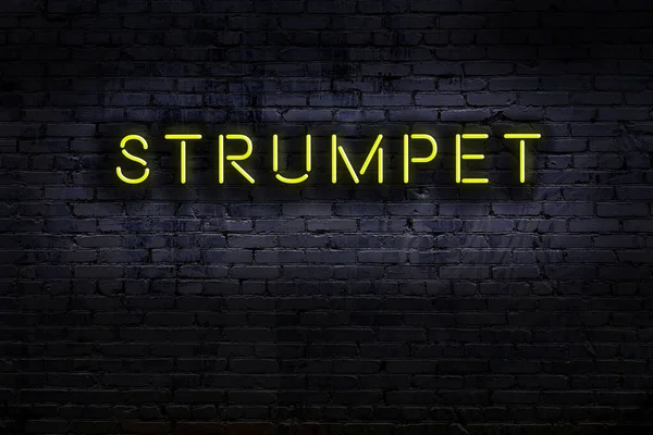 Geceleri duvarda neon levhası var. Yazı orospusu.