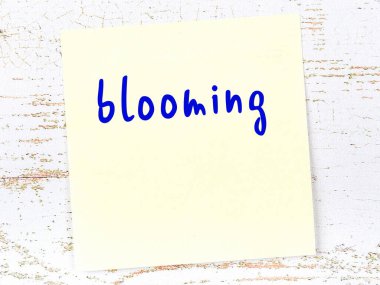 Tahta duvarda sarı yapışkan bir not ve el yazısıyla yazılmış bir yazı var.