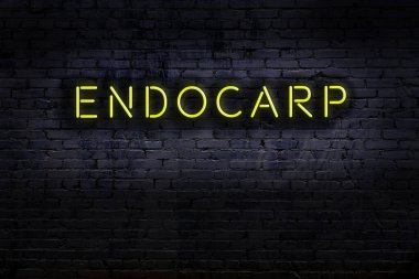 Geceleri duvarda neon levhası var. Yazıt endocarp