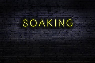 Geceleri duvarda neon levhası var. Yazı sırılsıklam