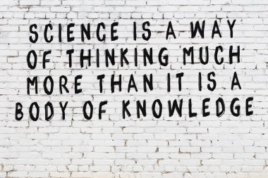 Üzerinde mantıklı alıntıların yazılı olduğu siyah boyanmış beyaz tuğla duvar.