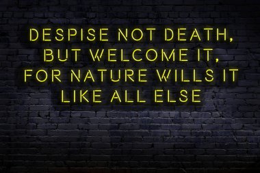 Tuğla duvardaki ışıklı neon tabela olarak bilgece alıntı