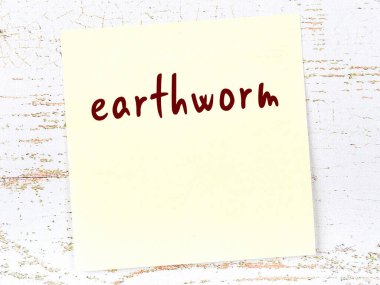 Solucan hakkında hatırlatma kavramı. Tahta duvarda üzerinde yazı olan sarı yapışkan kağıt.