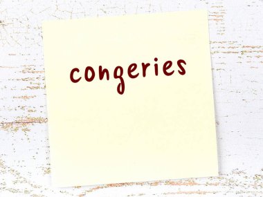 Tahta duvarda el yazısıyla yazılmış sarı yapışkan bir not var.