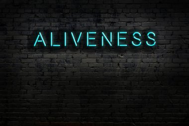 Geceleri duvarda neon levhası var. Yazı kalitesi