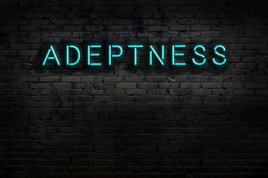 Duvara yazı yazma becerisi olan bir tabela. Gece görünümü