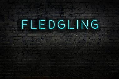Tuğla duvara yaslanmış neon yazılar. Gece görünümü