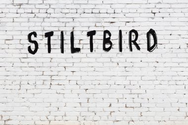 Beyaz tuğla duvara siyah boya ile yazılmış bir yazı kuşu..