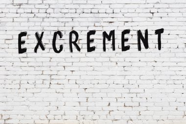 Yazıt dışkısı beyaz tuğla duvara siyah boya ile yazılmış..