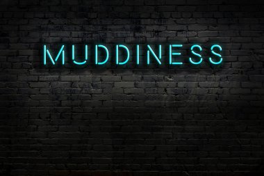 Tuğla duvara yazdırılmış çamurlu neon tabela. Gece görünümü