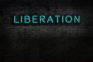 Geceleri duvarda neon levhası var. Yazı özgürlüğü.