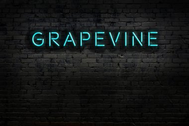 Geceleri duvarda neon levhası var. Yazı dedikodusu