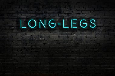 Geceleri duvarda neon levhası var. Yazı uzun bacaklar