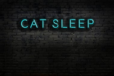 Üzerinde yazı olan neon tabela. Tuğla duvara yaslanmış uyuyor. Gece görünümü