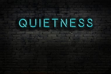 Geceleri duvarda neon levhası var. Yazı sessizliği