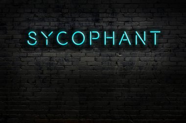 Geceleri duvarda neon levhası var. Yazıt dalkavuğu