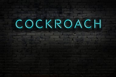 Duvara yazı yazan bir neon levhası. Gece görünümü