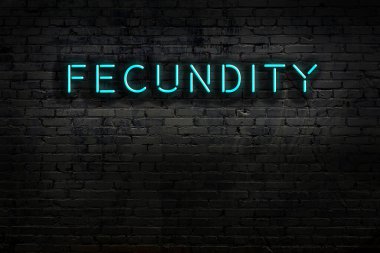 Geceleri duvarda neon levhası var. Yazı verimliliği