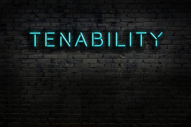 Geceleri duvarda neon levhası var. Yazı yatkınlığı