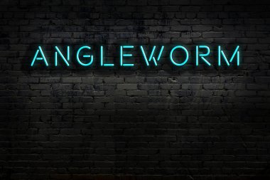 Duvara yazı kazınmış neon işareti var. Gece görünümü