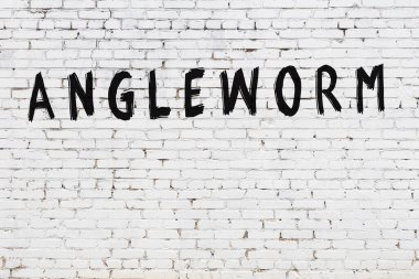 Beyaz tuğla duvarda siyah boyayla yazılmış bir tenya..