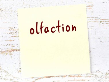 Tahta duvardaki sarı yapışkan notta el yazısıyla yazılmış koku var.