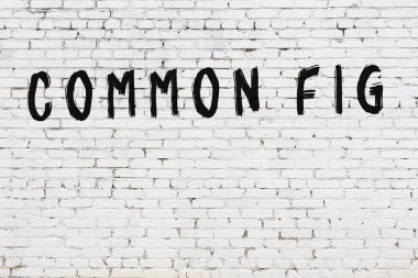 Beyaz tuğla duvara siyah boya ile yazılmış incir..