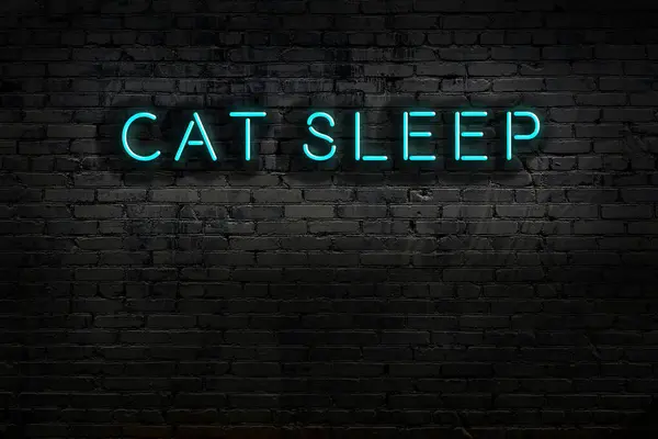 Neon Sign Inscription Cat Sleep Brick Wall Night View — Stock Photo, Image