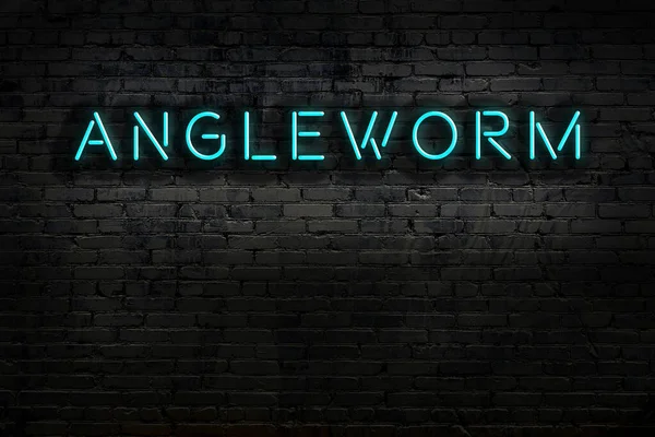 Duvara yazı kazınmış neon işareti var. Gece görünümü