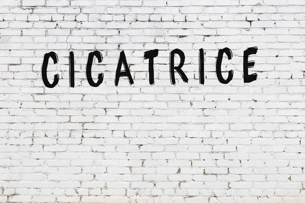Inscriptie Cicatrice Geschreven Met Zwarte Verf Witte Bakstenen Muur — Stockfoto