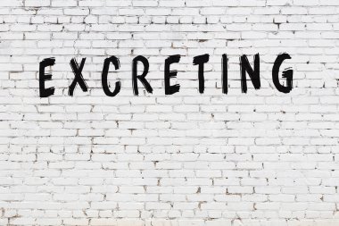 Beyaz tuğla duvarda siyah boyayla yazılmış dışkı..