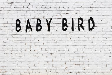 Beyaz tuğlalı duvar. Üzerinde siyah boyayla el yazısıyla yavru kuş yazıyor.